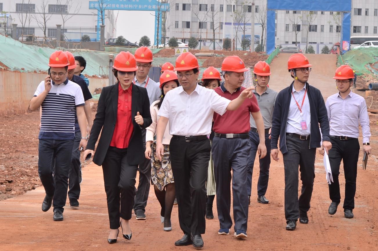 宁乡市委书记周辉赴古天乐太阳集团城宁乡基地项目调研