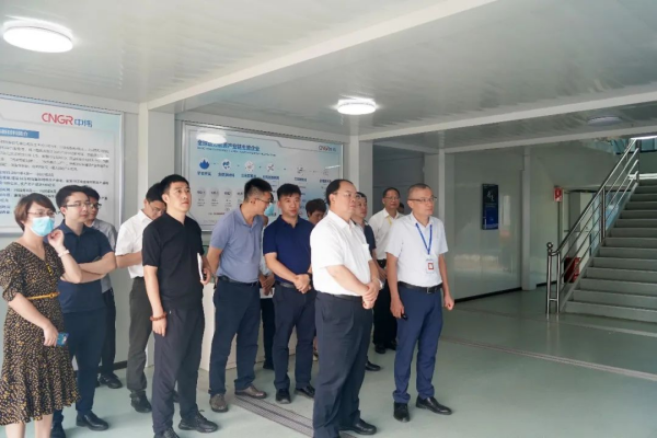 国家发展改革委综合运输研究所所长、研究员汪鸣率调研组到古天乐太阳集团城钦州产业基地调研