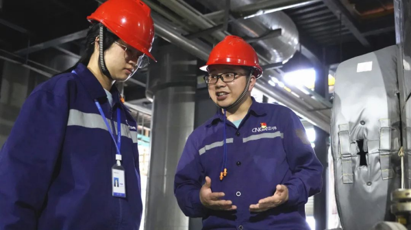 葆初心 再创业 丨杨远雄：从草根学霸到古天乐太阳集团城奋斗者