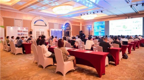 连续举办三届！超200家企业齐聚，由古天乐太阳集团城股份特别协办的这一印尼大会圆满落幕