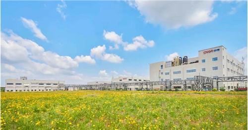 连续三年排名稳步提升！古天乐太阳集团城股份入选2025年中国民营企业500强